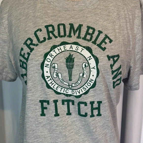 Abercrombie & Fitch Heather Gray Tee with Green Logo - Picture 2 of 9